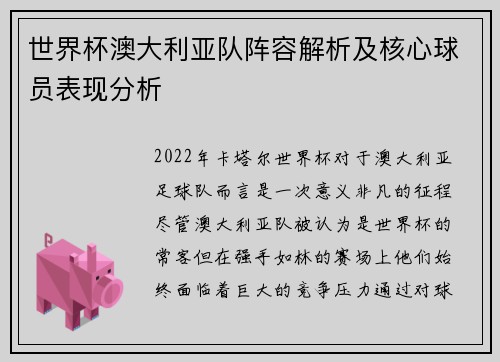 世界杯澳大利亚队阵容解析及核心球员表现分析