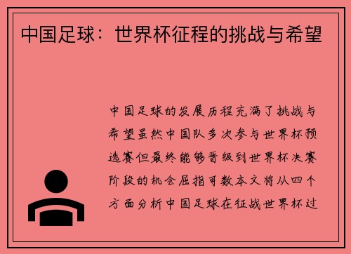 中国足球：世界杯征程的挑战与希望