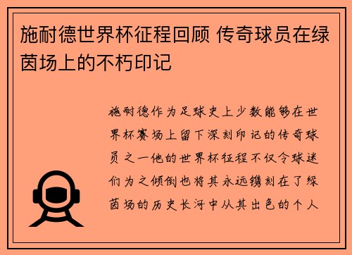 施耐德世界杯征程回顾 传奇球员在绿茵场上的不朽印记